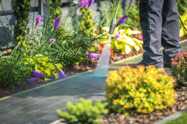 Best Pre-Holiday Cleaning  in Willow Oak, FL