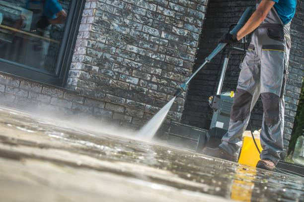 Best Building Exterior Washing  in Willow Oak, FL