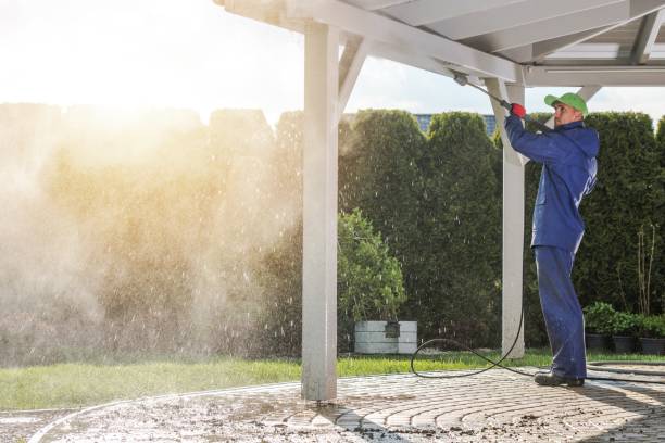 Best House Exterior Washing  in Willow Oak, FL