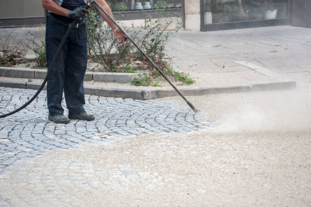 Best Sign and Awning Cleaning  in Willow Oak, FL