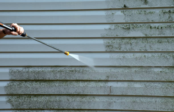 Best House Exterior Washing  in Willow Oak, FL