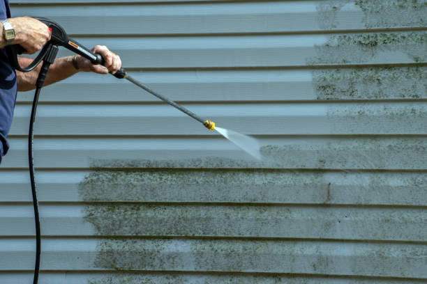 Best Dumpster Area Cleaning  in Willow Oak, FL