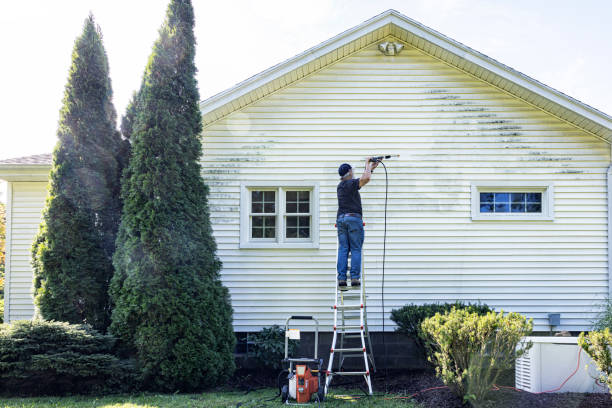 Best Fence Cleaning  in Willow Oak, FL