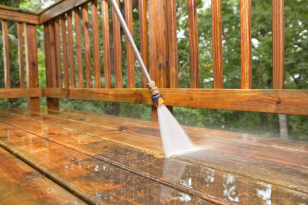 Best Restaurant Pressure Washing  in Willow Oak, FL