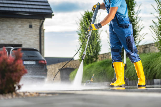 Best Sidewalk and Walkway Cleaning  in Willow Oak, FL